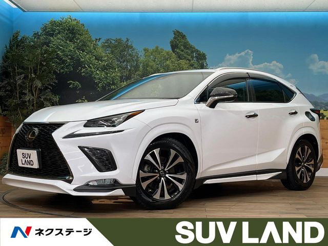 NX 300 Fスポーツ 