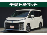 【メイン】 千葉・茨城・埼玉・東京・神奈川での登録、及びご来店いただける方への販売に限らせていただきます。
