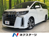 純正9インチナビ 後席モニター 両側パワースライドドア シートヒーター