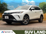 純正12.3型ナビ バックカメラ ブラインドスポットモニター