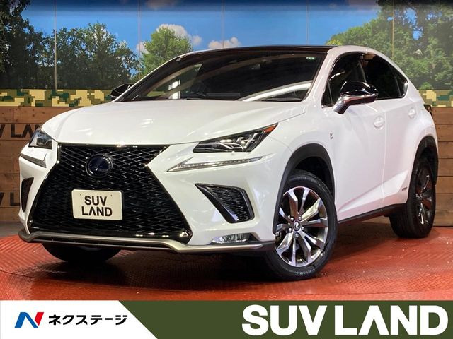 NX 300h Fスポーツ