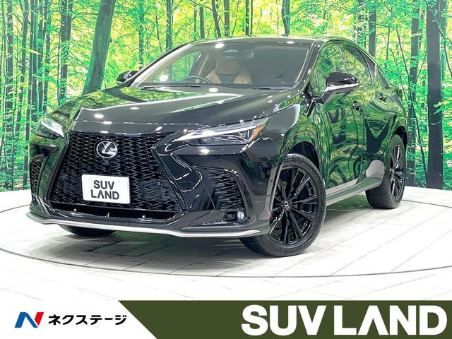 NX 350h Fスポーツ 