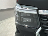 LEDヘッドライトは、点灯の瞬間から最大光量を発揮し、突然暗くなるトンネルなどでの安定感を高めます。