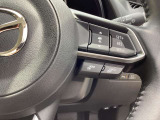 クルーズコントロールシステム付きです。車間セットして前に追従するので、長距離の際はとっても便利です。