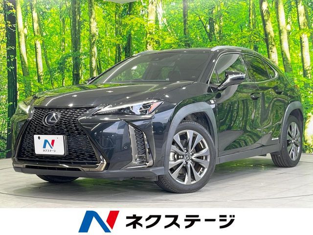 UX 250h Fスポーツ 