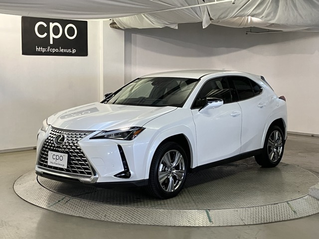 UX 250h グレイスフル エクスプローラー