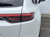 特徴的なデザインで後方からの確認しやすいLEDリアコンビネーションランプ