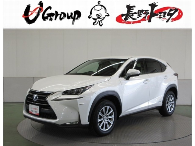 NX 300h Iパッケージ 