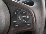 ◆アダプティブクルーズコントロール◆予め設定した車速内でクルマが自動的に加減速。前走車との適切な車間距離を維持しながら追従走行します。【LKAS】車線維持支援システムでステアリング操作を支援。