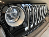 限定車専用のシルバーグリル。