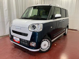 ムーヴキャンバス  ストライプス G