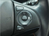 ◆アダプティブクルーズコントロール◆予め設定した車速内でクルマが自動的に加減速。前走車との適切な車間距離を維持しながら追従走行します。【LKAS】車線維持支援システムでステアリング操作を支援。