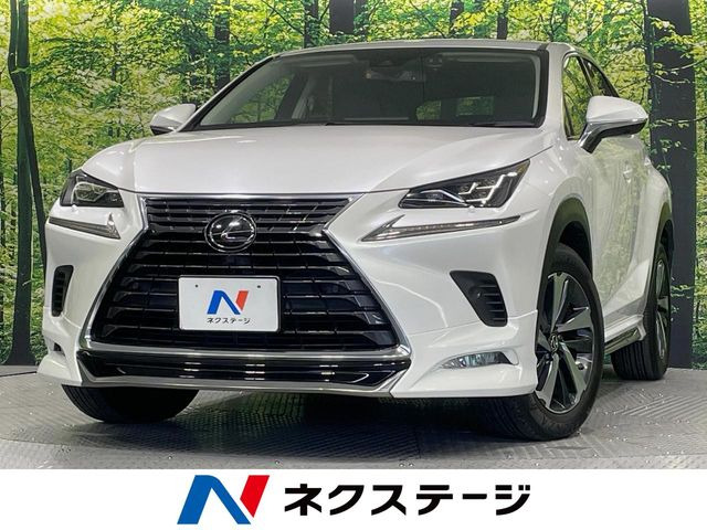 NX 200t Iパッケージ