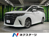 14インチメーカーナビ ガラスルーフ 両側電動ドア 後席モニター