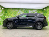 NX 250 