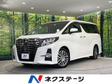 両側電動ドア SDナビ 後席モニター バックカメラ 衝突被害軽減システム