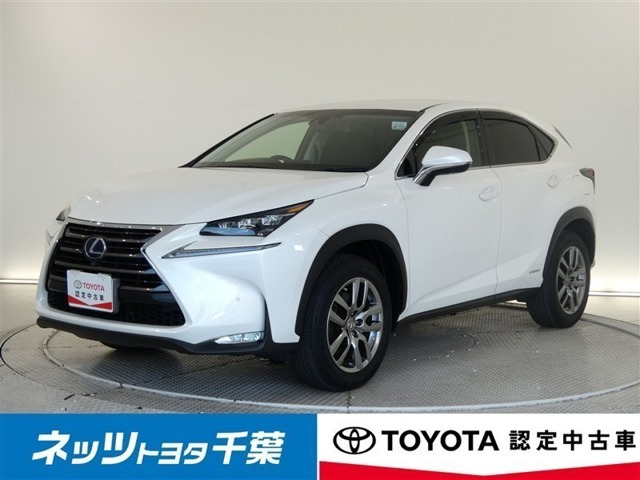 NX 300h Iパッケージ