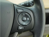 ◆アダプティブクルーズコントロール◆予め設定した車速内でクルマが自動的に加減速。前走車との適切な車間距離を維持しながら追従走行します。【LKAS】車線維持支援システムでステアリング操作を支援。