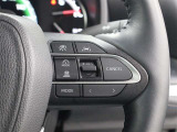 レーダークルーズコントロール作動時に車線維持に必要な運転操作の支援を行う「レーントレーシングアシスト(LTA)」を搭載しています。