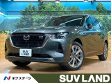 パノラマサンルーフ 12型ナビ 全周囲カメラ ブラインドスポットモニター