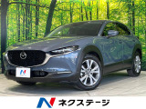 ブラインドスポットモニター ETC ドラレコ フルセグ