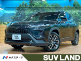 登録済未使用車 パノラマルーフ ブラインドスポットモニター 100V電源