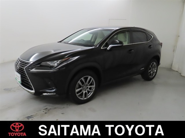 NX 300h バージョンL 