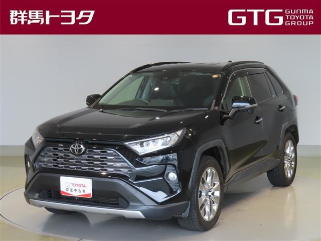RAV4  2.0 G Zパッケージ 4WD
