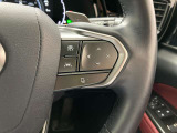 前方の車との車間を設定し、スピードを上げたり緩めたりを自動で行ってくれる追尾式の「レーダークルーズ」。上級装備の一つです!高級車にしかつかない嬉しい機能です。