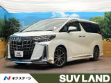 モデリスタエアロ BIG-X10型ナビ フリップダウモニター