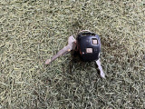 新車から中古車まで取り扱っております