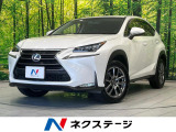 純正ナビ バックカメラ プレミアムサウンドシステム AC100V電源