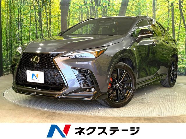 NX 350h Fスポーツ