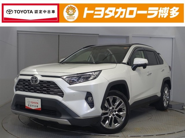 RAV4 2.0 G Zパッケージ 4WD