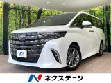 ガラスルーフ 両側電動スライドドア 純正14型ナビ