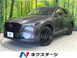 純正8型ナビ 全周囲カメラ 衝突被害軽減システム 禁煙車 電動リアゲート