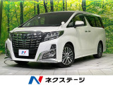 9型ナビ バックカメラ 両側電動スライド 電動リアゲート パワーシート