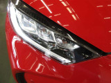 3灯式フルLEDランプ+LEDターンランプ+LEDクリアランスランプが付いています。