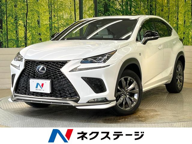 NX 300h Fスポーツ