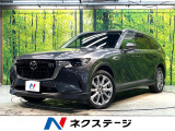 ディーゼル(軽油) 純正12インチナビ 全周囲カメラ 100V電源 衝突