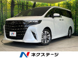 両側電動スライドドア レーダークルーズ デジタルインナーミラー