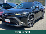 ご質問、不明点などございましたらWEB担当の中尾までお気軽にご連絡くださいませ。