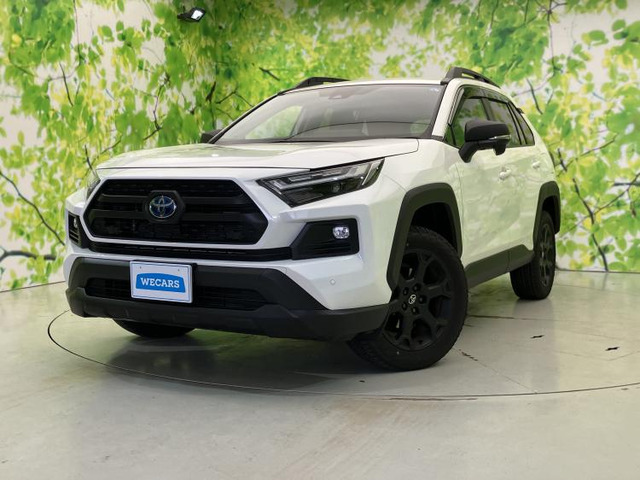 RAV4 2.5 ハイブリッド アドベンチャー オフロードパッケージ II E-Four 4WD 
