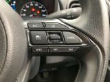 前方の車との車間を設定し、スピードを上げたり緩めたりを自動で行ってくれる追尾式の「レーダークルーズ」。上級装備の一つです!高級車にしかつかない嬉しい機能です。