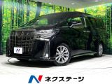両側電動ドア 後席モニター バックカメラ 衝突被害軽減システム