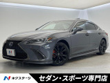 TRDフルエアロ TRDスポーツマフラー ハンズフリーパワーバック