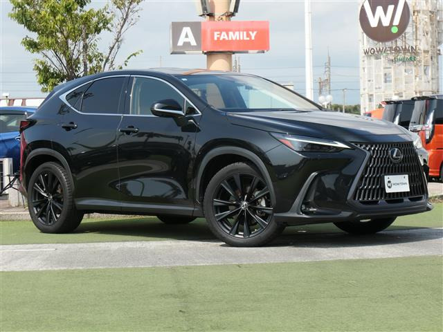 NX 250 バージョンL 本革シート サンルーフ