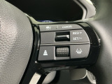 クルーズコントロールを装備しています。高速道路などで一定の速度で走ってくれるので運転が楽ですよ!速度を設定できますので、スピードの出しすぎにも注意できます。