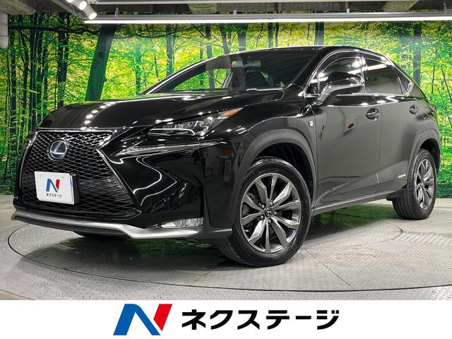 NX 300h Fスポーツ
