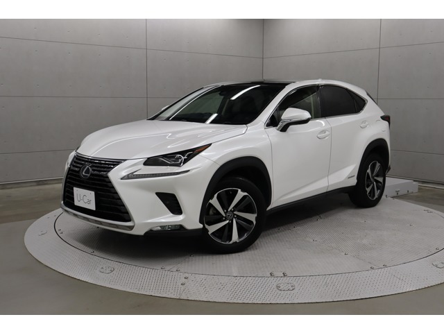 NX 300h Iパッケージ 